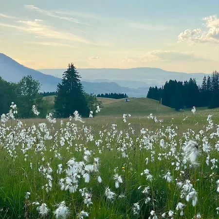 Appartement Pusteblume *
